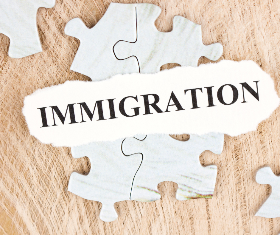 puzzel and the word immigration