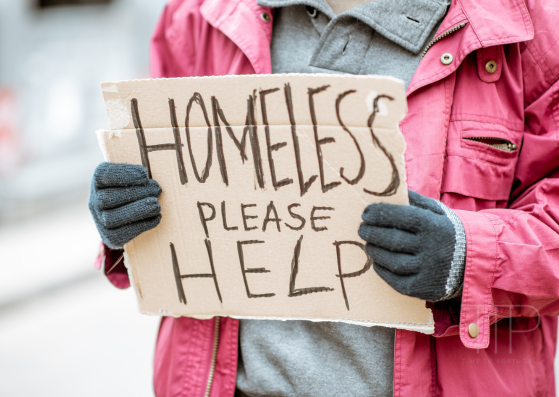 person holding sign homeless please help