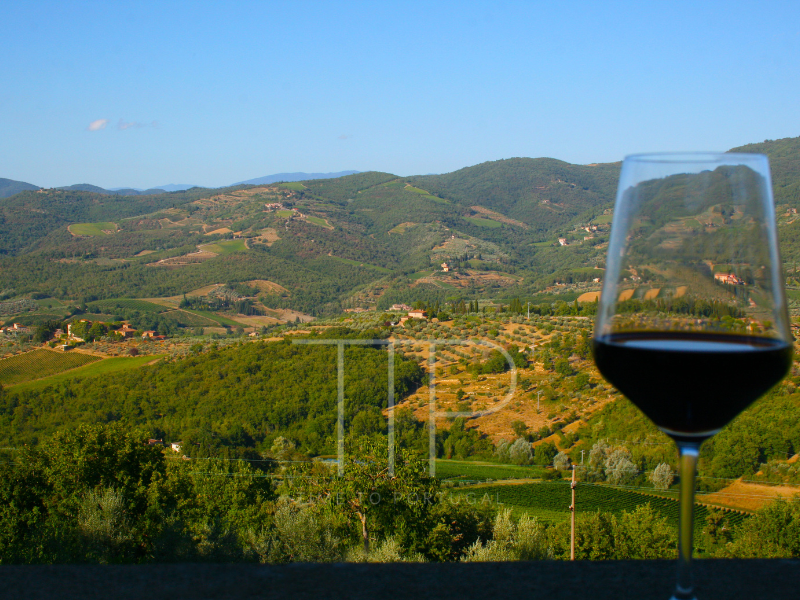 A glass filled with red wine in front of green hills and blue sky