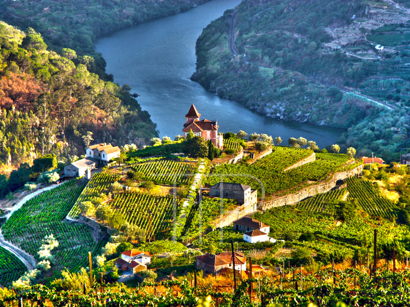Colorful image of Douro Valley part