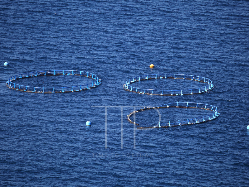 Blue seawater and fish farm barriers.