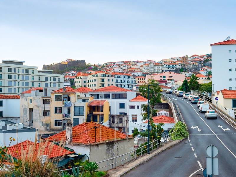 A road with cars leading through a housing district