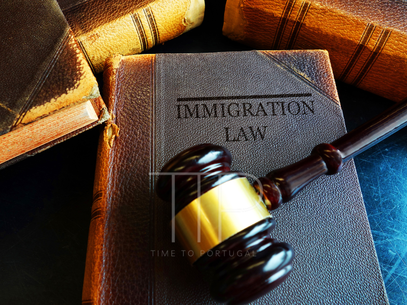 Immigration law book and wooden hammer