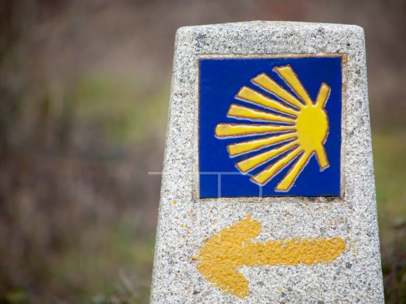 A stone post with the sign of the Camino de Santiago