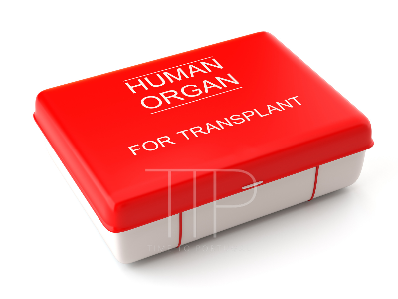 A white red plastic box labeled Human Organ for Transplant