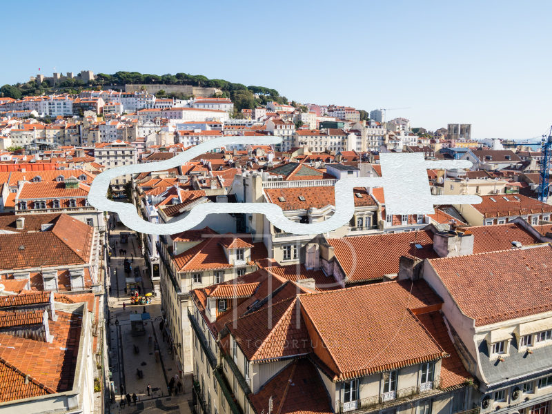 Houses of center Lisbon bird view