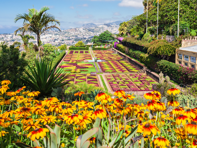 A botanical garden with flowers in orange, yellow and red