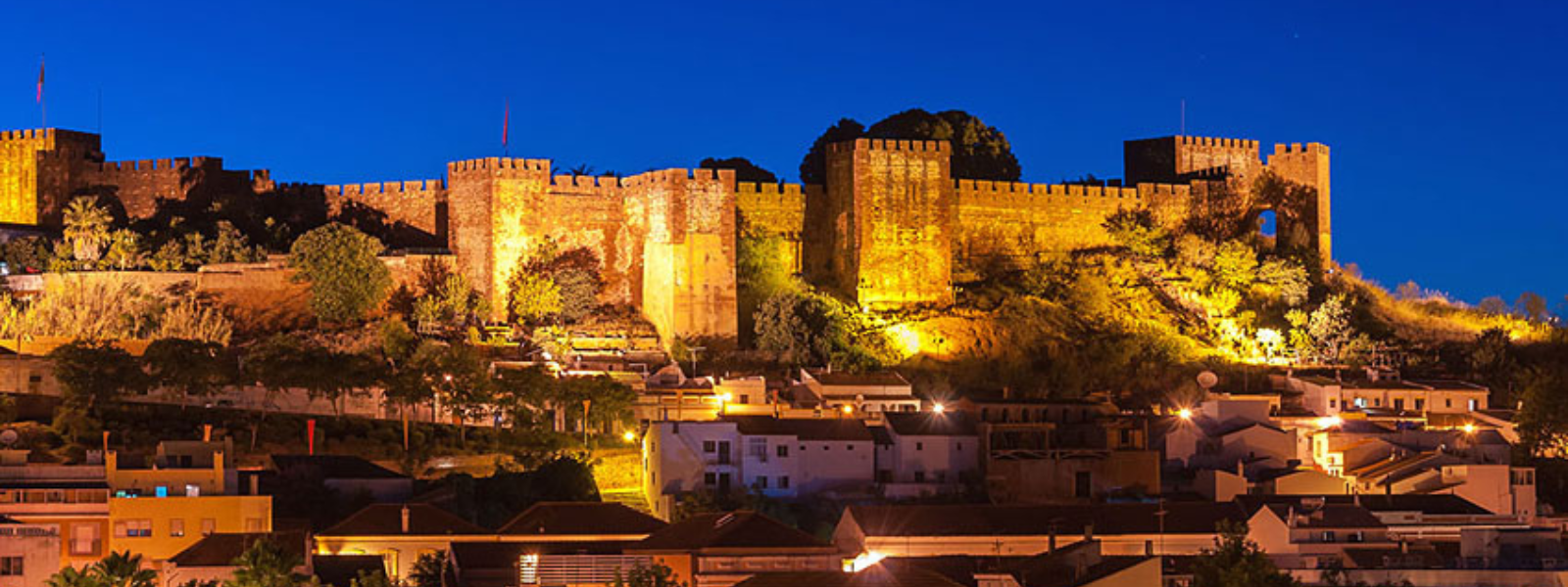 lit up castle and night sky