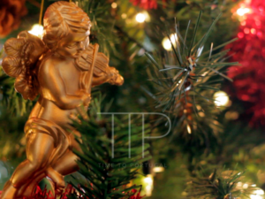 A golden angel in front of green Christmas tree